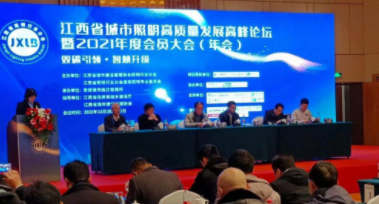 澳门大阳城娱乐网-大阳城(中国)受邀参加江西省城市照明高质量发展高峰论坛